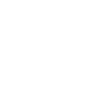 Noninvasive tests icon
