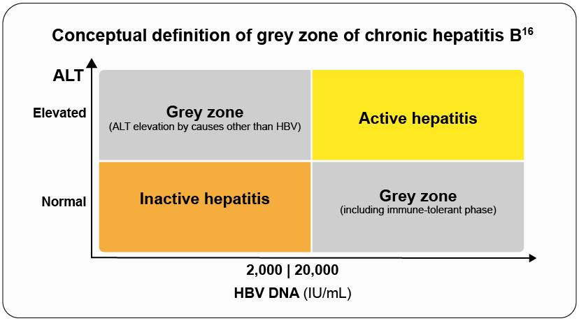 Grey zone of Hepatitis B virus
